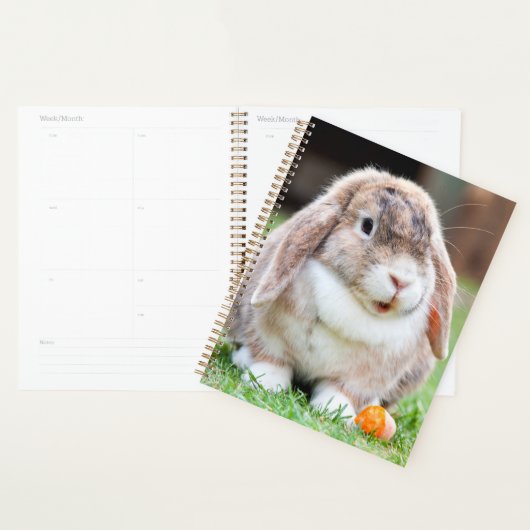 Snoezelkonijn Planner (Display)