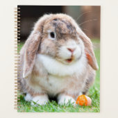Snoezelkonijn Planner (Voorkant)