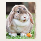 Snoezelkonijn Planner (Achterkant)