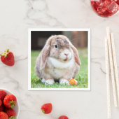 Snoezelkonijn Servet (Insitu)