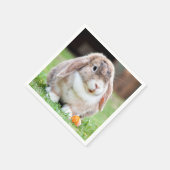 Snoezelkonijn Servet (Hoek)