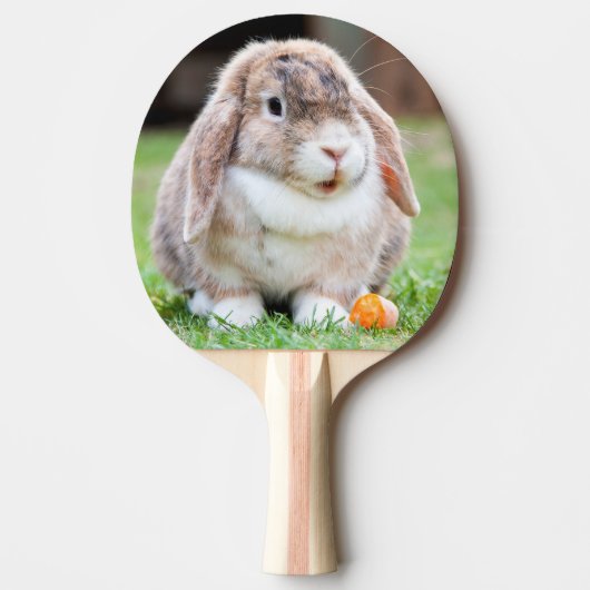 Snoezelkonijn Tafeltennisbatje (Voorkant)