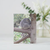 Snoezige Koala Briefkaart (Staand voorkant)