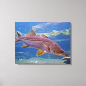 Snook Fish Canvas Print (Voorkant)