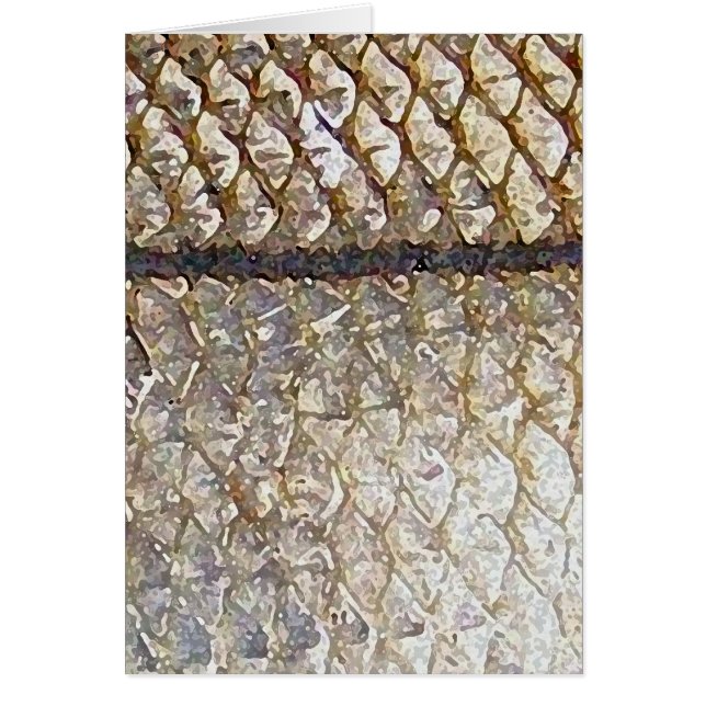 Snook - kaart (Voorkant)