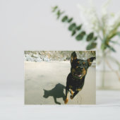 Snoop Briefkaart (Staand voorkant)