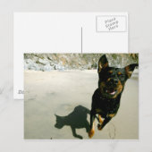 Snoop Briefkaart (Voorkant / Achterkant)