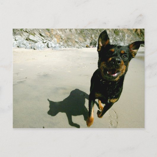 Snoop Briefkaart (Voorkant)