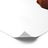 SNOOP DOGG IS EEN BOSS EN LOGO POSTER (Hoek)