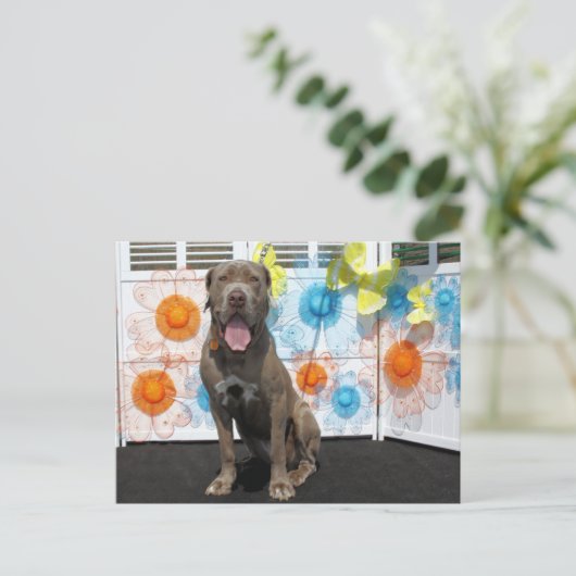 Snoop - Neopolitan Mastiff -3 Briefkaart (Staand voorkant)