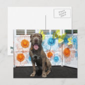 Snoop - Neopolitan Mastiff -3 Briefkaart (Voorkant / Achterkant)
