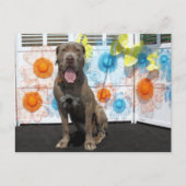 Snoop - Neopolitan Mastiff -3 Briefkaart (Voorkant)