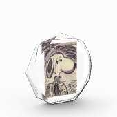 #SNOOPY AKA #JOECOOL FOTOBLOKKEN (Links)