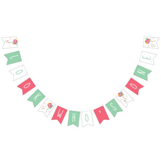 Snoopy and Balloons First Birthday Vlaggetjes (Alle)