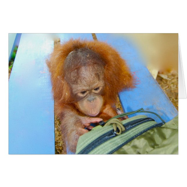 Snoopy Baby Orangutan (Voorkant Horizontaal)