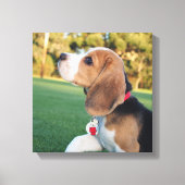 Snoopy Beagle Canvas Afdruk (Voorkant)