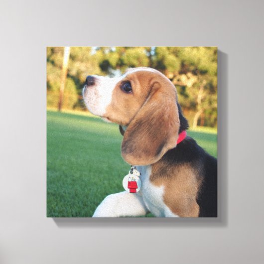 Snoopy Beagle Canvas Afdruk (Voorkant)