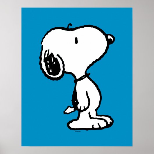 Snoopy Classic Comics Poster (Voorkant)