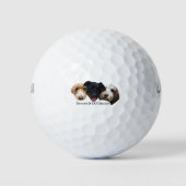 Snoopy & CO Design Logo Golfballen (Voorkant)