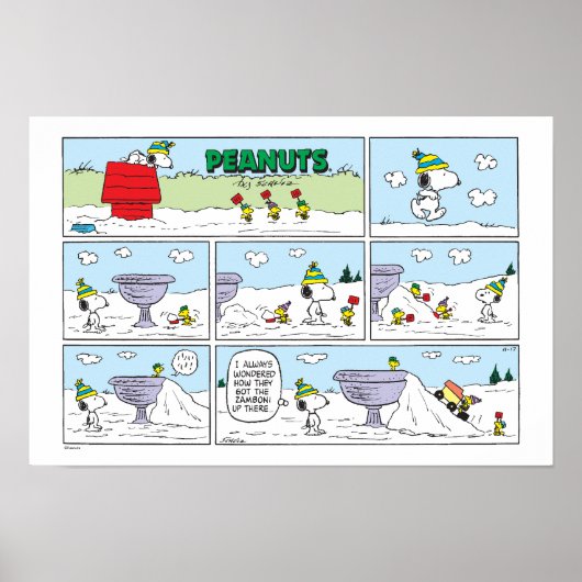 Snoopy & De Bemanning Poster (Voorkant)
