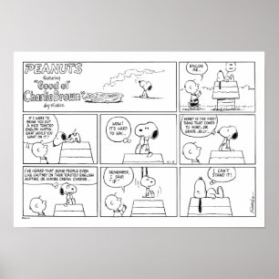 Snoopy en Charlie Brown   Engelse muffin Poster