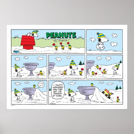 Snoopy en de Zamboni bemanning Poster (Voorkant)