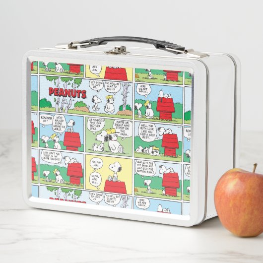 Snoopy en zijn broers Andy en Olaf (In situ)