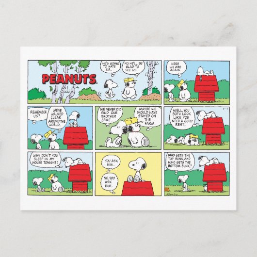 Snoopy en zijn broers Andy en Olaf Briefkaart (Voorkant)