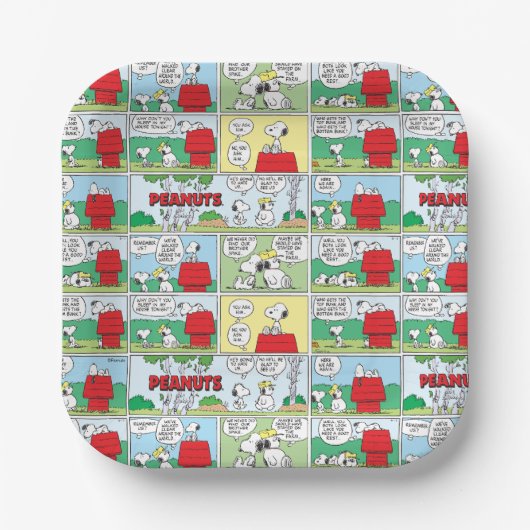Snoopy en zijn broers Andy en Olaf Papieren Bordje (Voorkant)