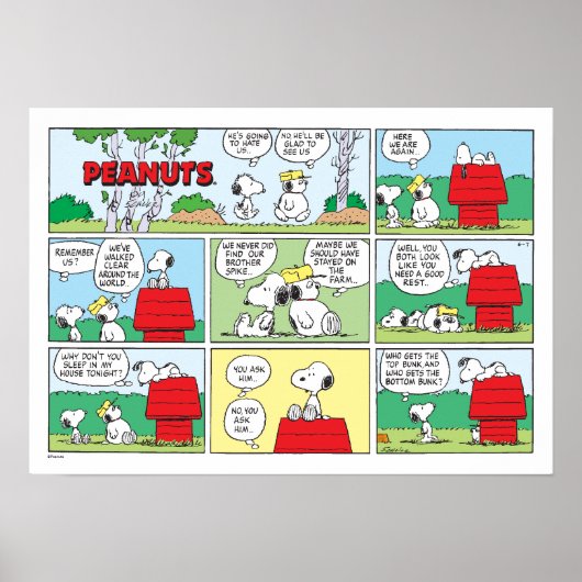 Snoopy en zijn broers Andy en Olaf Poster (Voorkant)