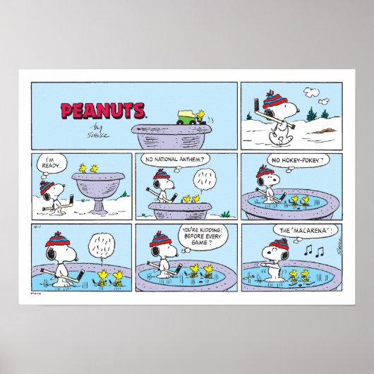 Snoopy & Friends Hockey spel Poster (Voorkant)