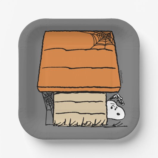 Snoopy Halloween Spin Web Doghouse Papieren Bordje (Voorkant)