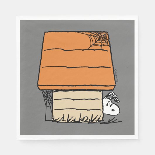Snoopy Halloween Spin Web Doghouse Servet (Voorkant)