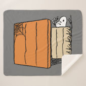 Snoopy Halloween Spin Web Doghouse Sherpa Deken (Voorkant (horizontaal))