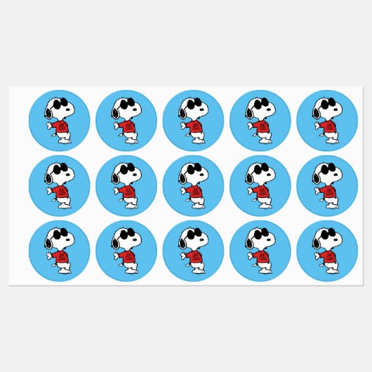 Snoopy "Joe Cool" Permanent Labels (Vel)