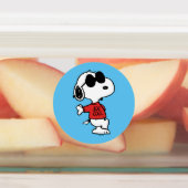 Snoopy "Joe Cool" Permanent Labels (Aangebracht)