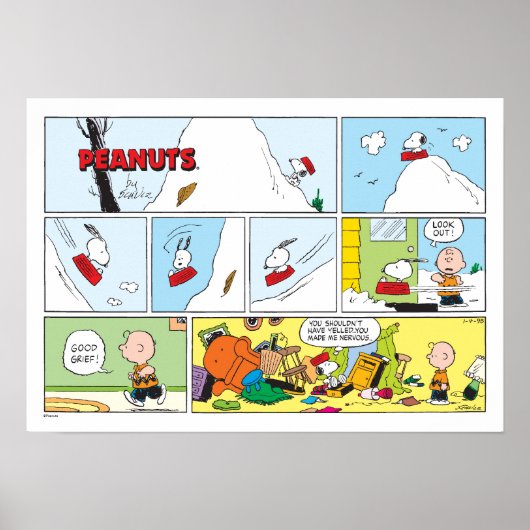 Snoopy Sled Riding Food Dish Poster (Voorkant)