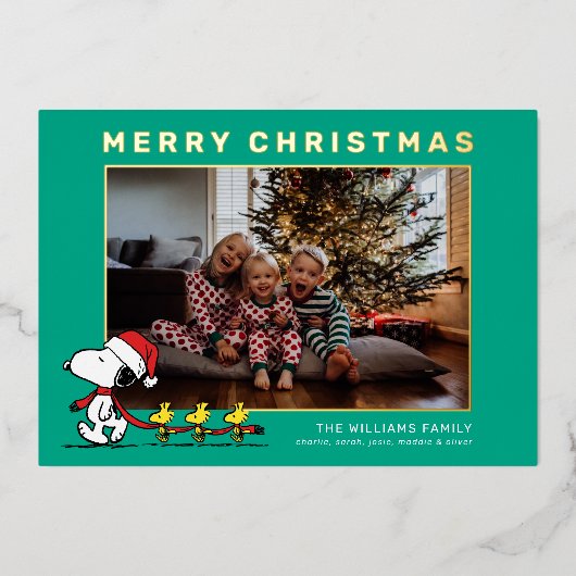 Snoopy & Vrienden Kerstmis Familie Foto Folie Feestdagenkaart (Voorkant)