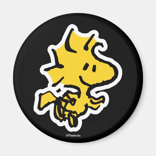 Snoopy & Woodstock Fun & Flowers Magneet (Voorkant)