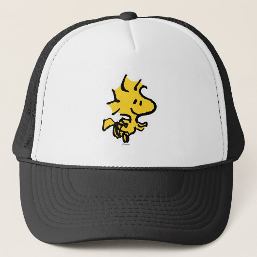 Snoopy & Woodstock Fun & Flowers Trucker Pet (Voorkant)