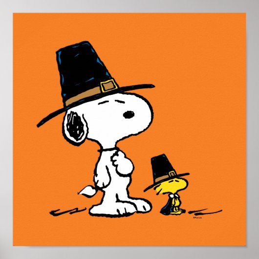 Snoopy & Woodstock Pilgrim Poster (Voorkant)