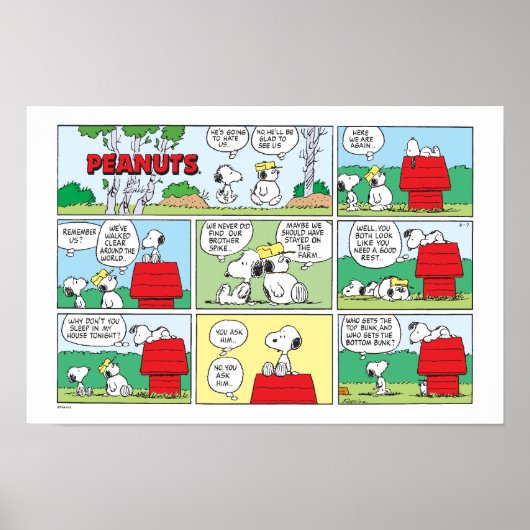 Snoopy & zijn broers Andy & Olaf Poster (Voorkant)