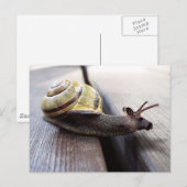 Snoose Briefkaart (Voorkant / Achterkant)