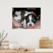 SNOOZIN', 2 WEEK SHIH-POO, S... POSTER (Keuken)