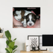 SNOOZIN', 2 WEEK SHIH-POO, S... POSTER (Thuiskantoor)