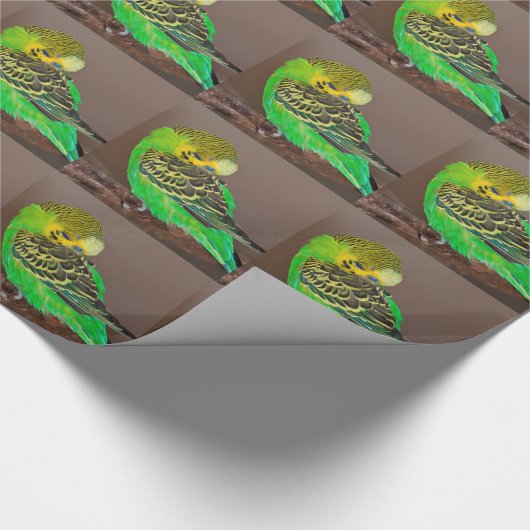 Snoozing boedgie-verpakkingspapier cadeaupapier (Hoek)