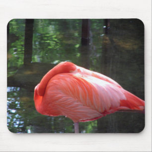 Snoozing Flamingo Muismat
