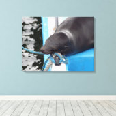 Snoozing Galapagos Zee Lion Canvas Afdruk (Insitu (Houten vloer))