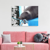 Snoozing Galapagos Zee Lion Canvas Afdruk (Insitu (Woonkamer))