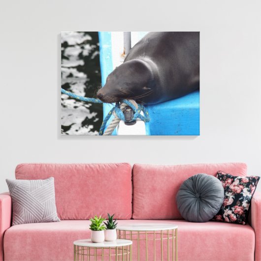 Snoozing Galapagos Zee Lion Canvas Afdruk (Insitu (Woonkamer))
